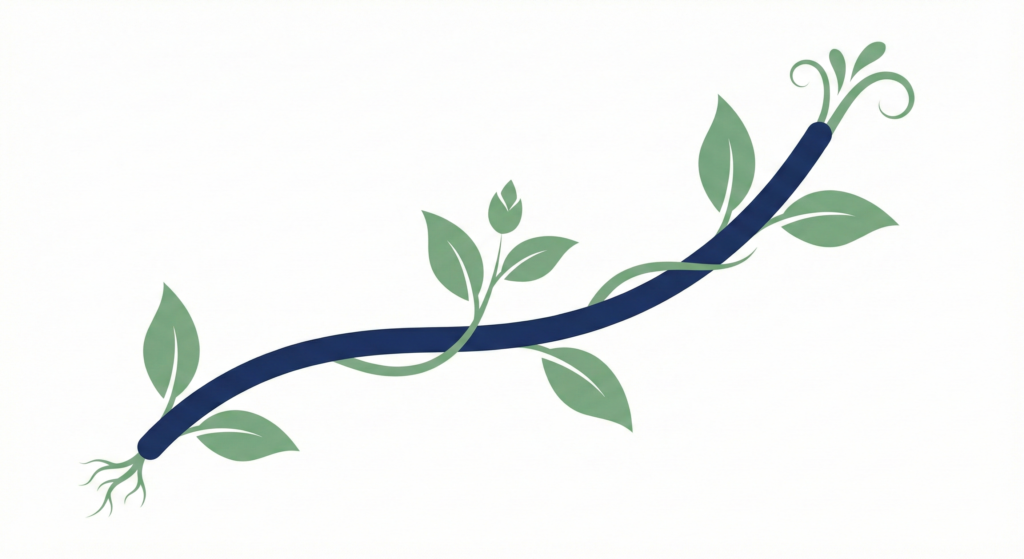 Minimalist illustration of a green vine growing along an upward-trending navy blue line, representing long-term investment growth.